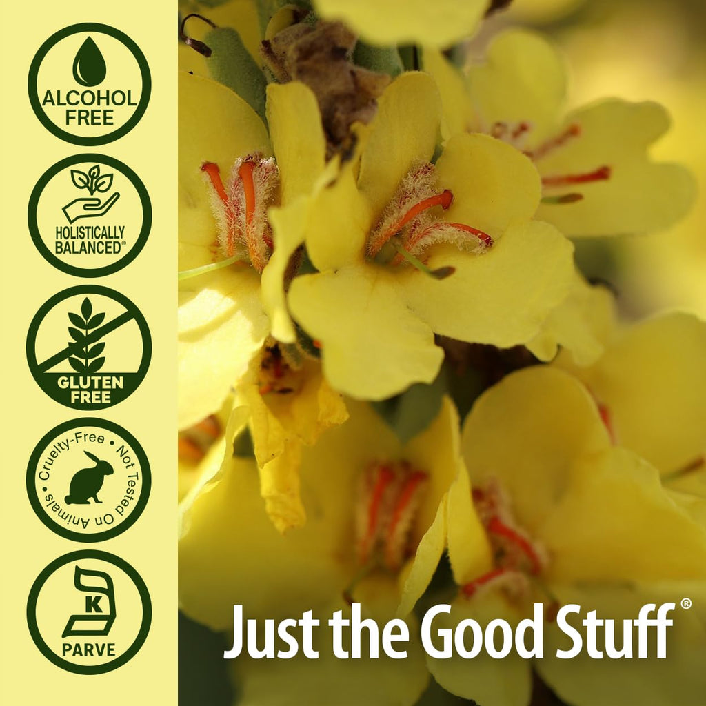 Nature's Answer Alcohol-Free Mullein Flower Ear Oil