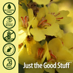 Nature's Answer Alcohol-Free Mullein Flower Ear Oil