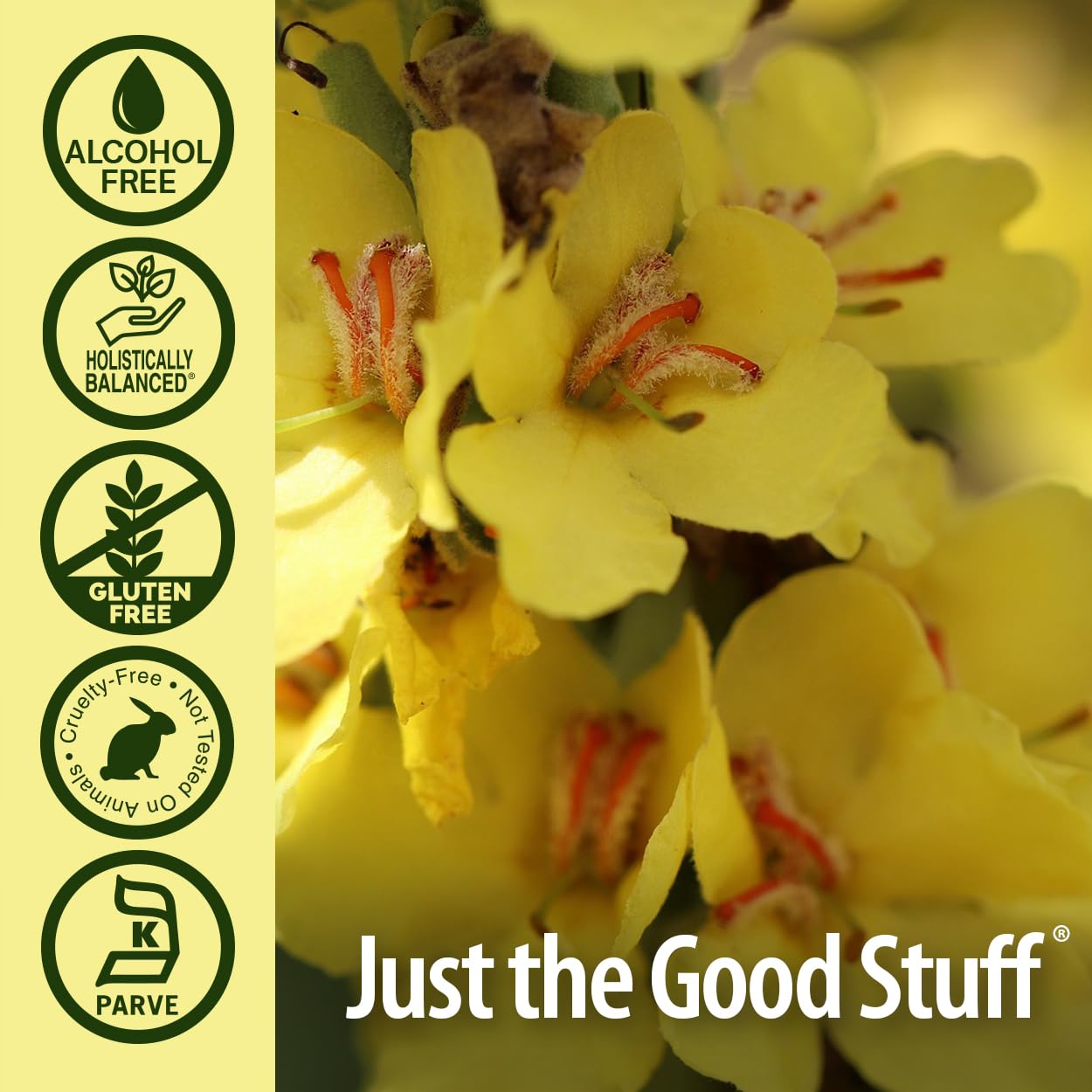Nature's Answer Alcohol-Free Mullein Flower Ear Oil