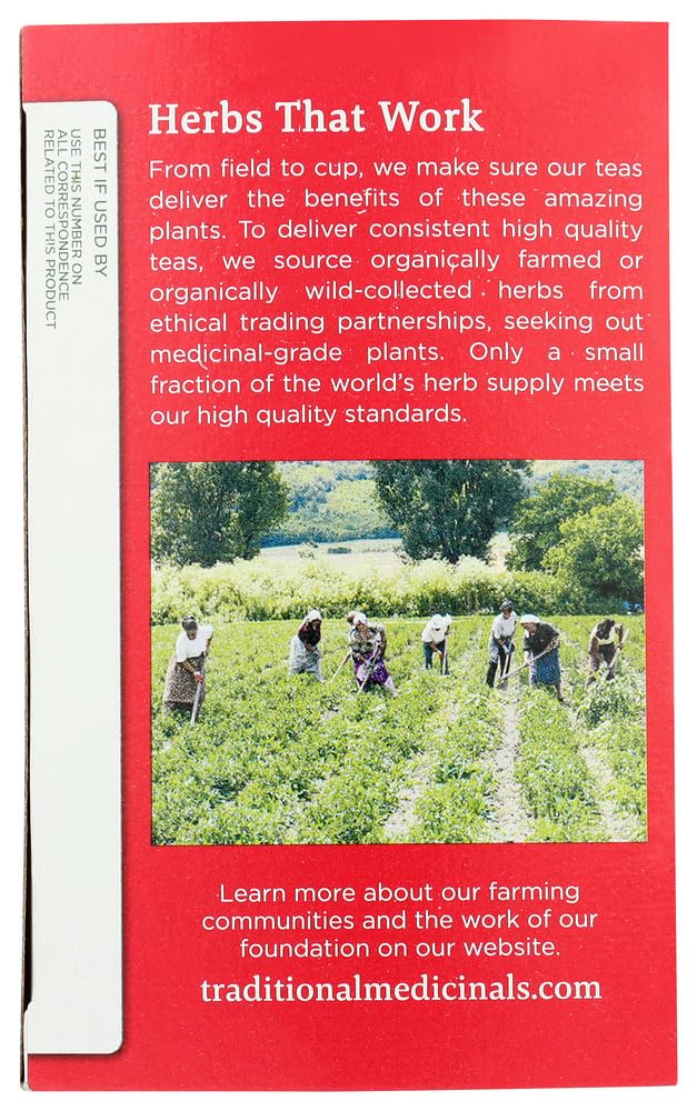 Traditional Medicinals Tea Cold Care Pm, 16 Count (Pack Of 6)