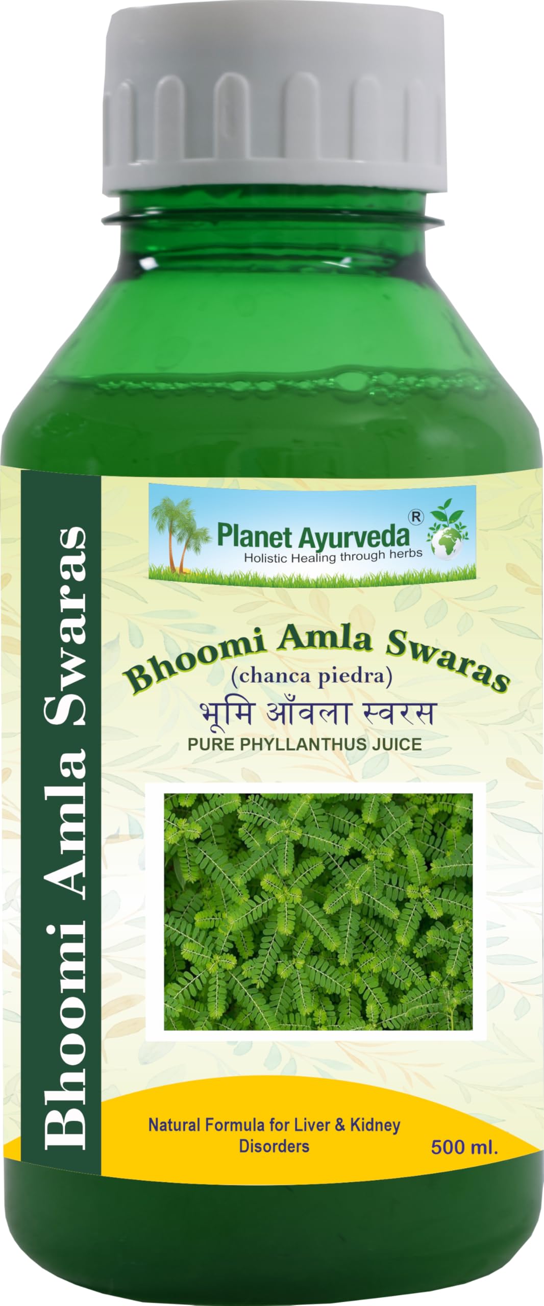 Planet Ayurveda Bhoomi Amla Swaras  500 Ml