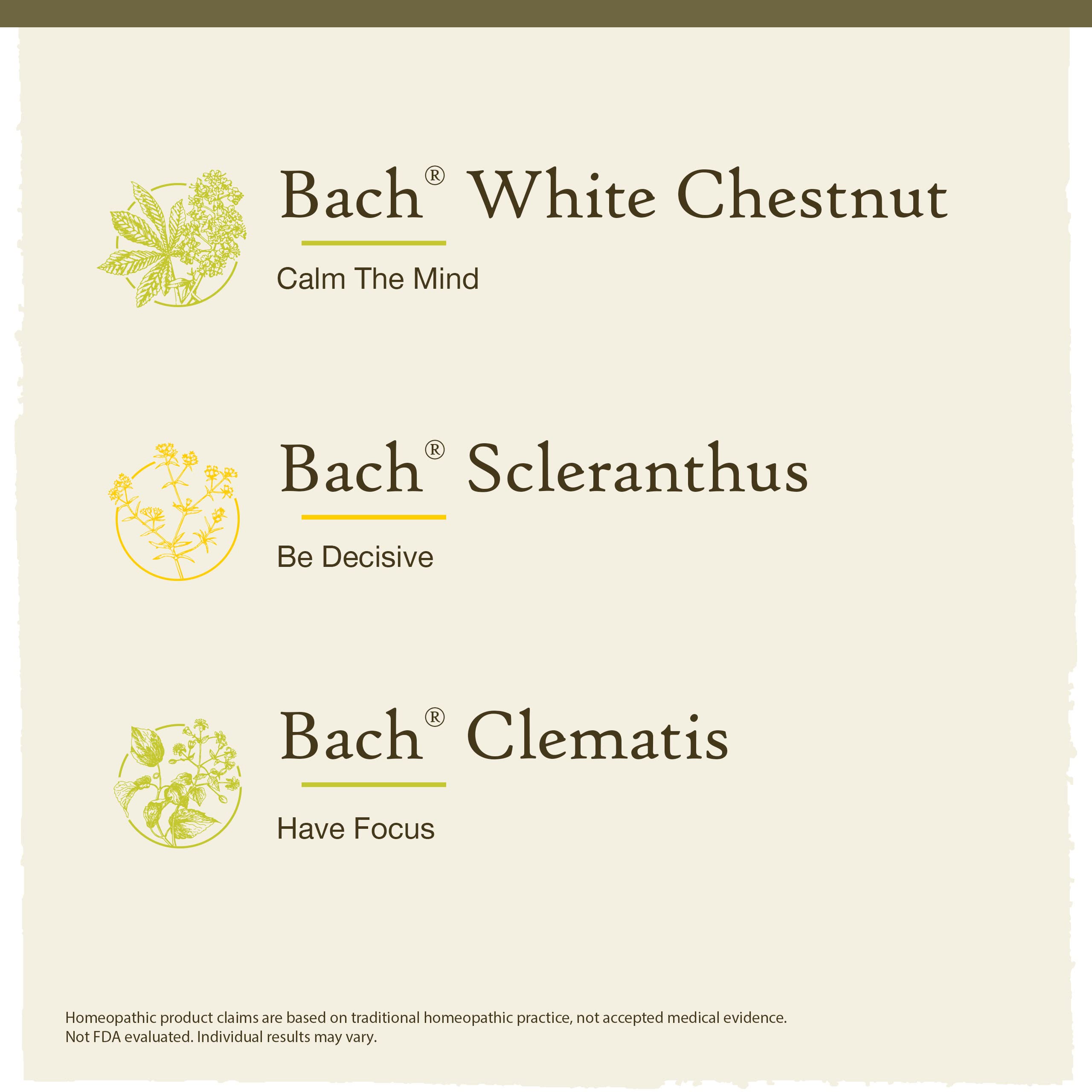 Bach Original Flower Remedies, Clarity of Mind Kit, For Focus and Mindfulness, Natural Homeopathic Flower Essence, Holistic Well