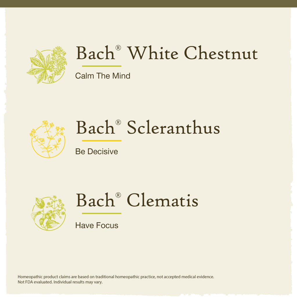 Bach Original Flower Remedies, Clarity of Mind Kit, For Focus and Mindfulness, Natural Homeopathic Flower Essence, Holistic Well