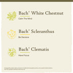 Bach Original Flower Remedies, Clarity of Mind Kit, For Focus and Mindfulness, Natural Homeopathic Flower Essence, Holistic Well