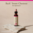 Bach Original Flower Remedy Sweet chestnut 20 ml