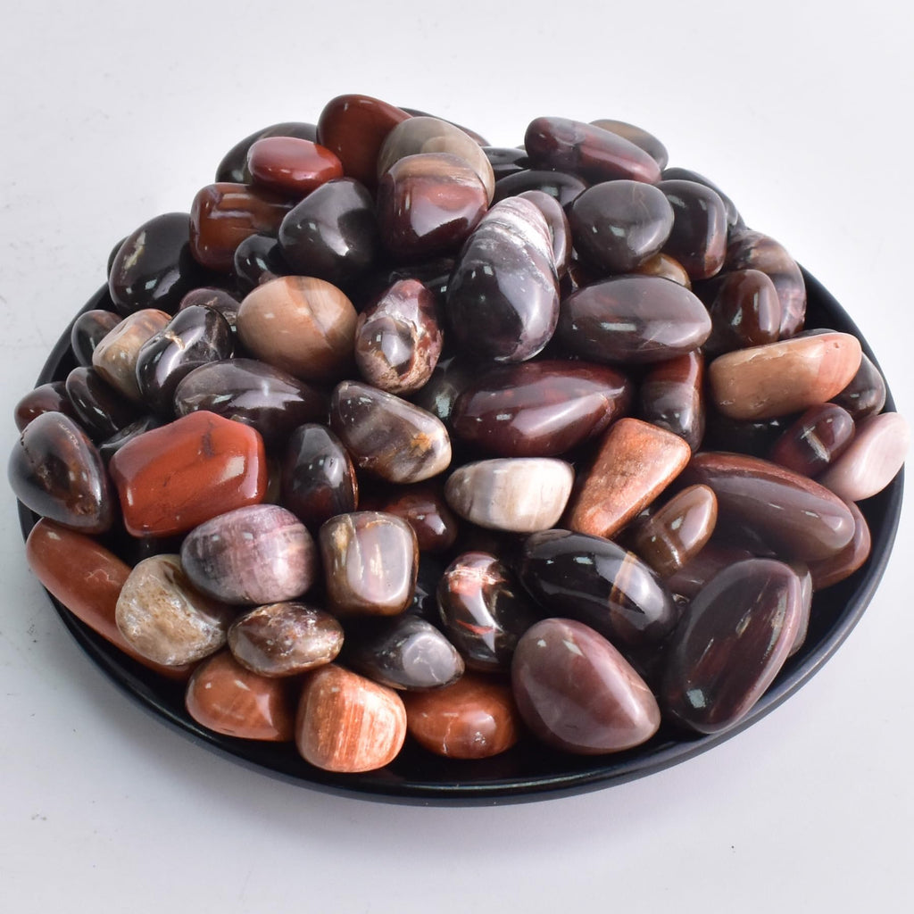 SigMntun Polished Petrified Wood Crystals - 72 Pcs, 0.5 10 oz Handpicked Natural Tumbled Gemstones Rocks, Pebbles for Reiki, Cha
