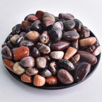 SigMntun Polished Petrified Wood Crystals - 72 Pcs, 0.5 10 oz Handpicked Natural Tumbled Gemstones Rocks, Pebbles for Reiki, Cha