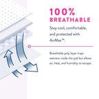 Prevail Maximum Absorbency Incontinence Underwear for Women, Large, 18 Count