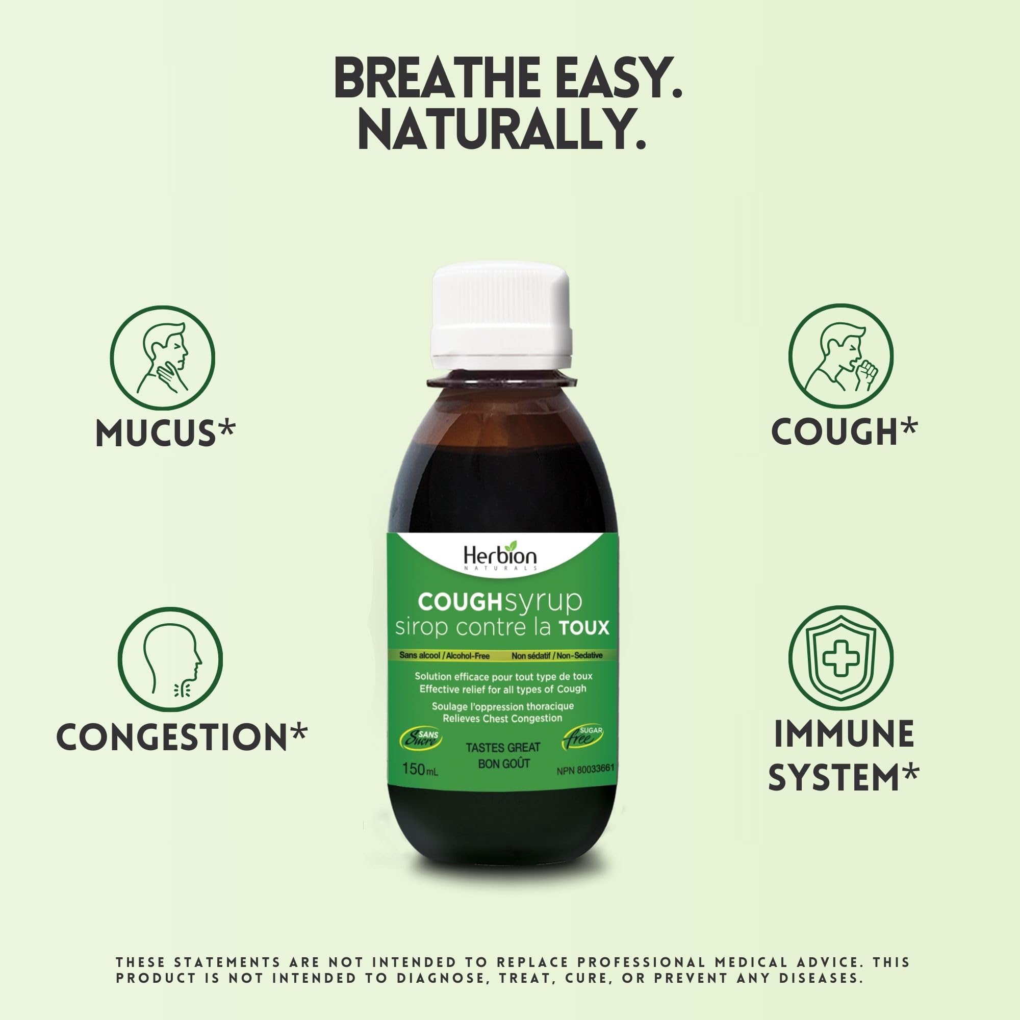 Herbion Naturals Throat Syrup, 5 Ounce