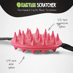 Cactus Scratcher Mini Back Scratcher for Itching Relief, 2-Sides with Aggressive & Soft Spikes, Long Handheld Scratchers for Men
