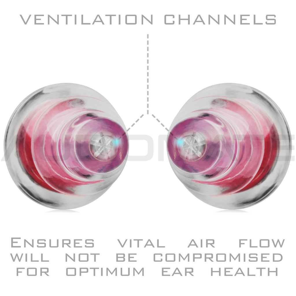 Audiomate High-Fidelity Earplugs with Metal Keychain Carry Case and 2 Interchangeable Earbuds Comfortable Soft Silicone HiFi Noi