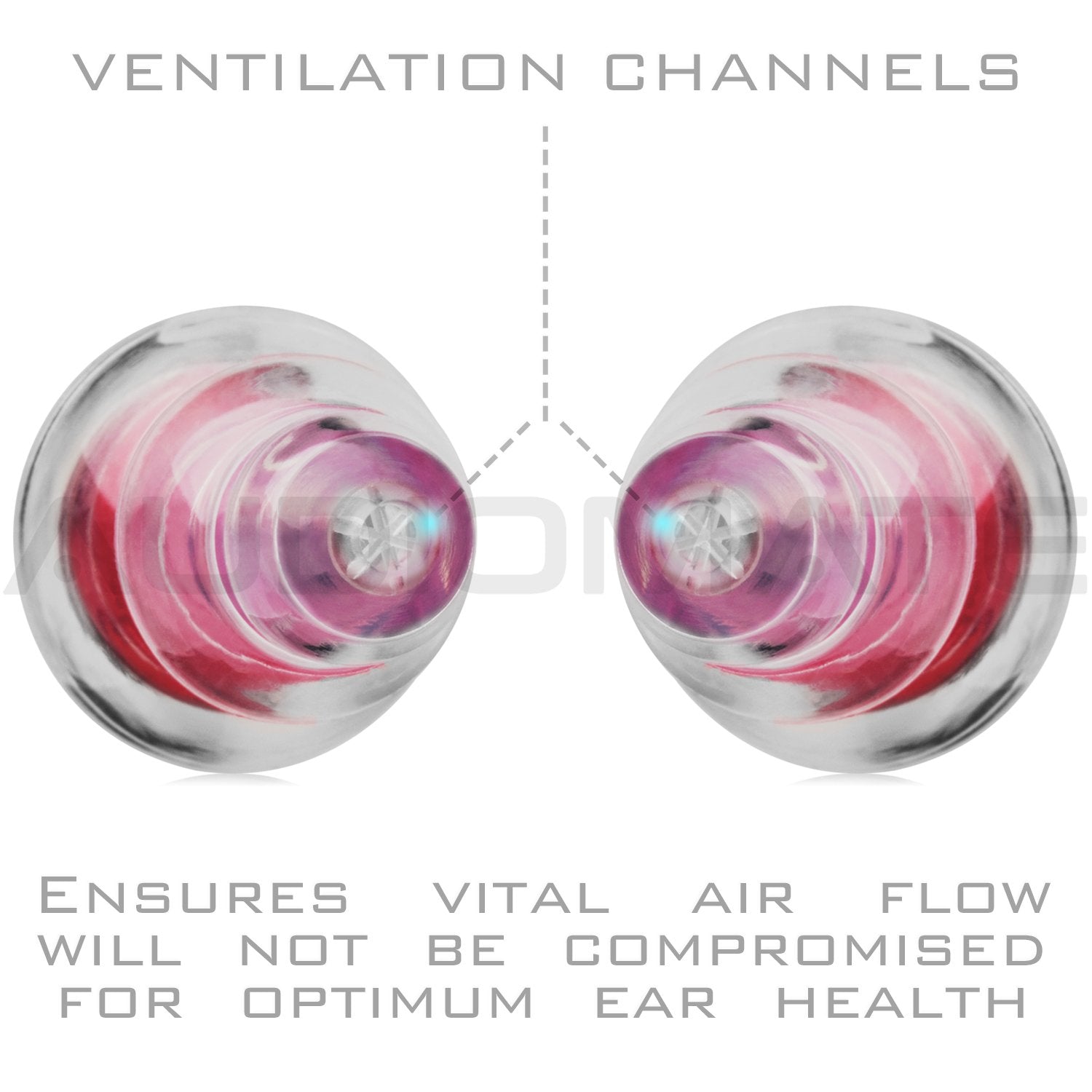 Audiomate High-Fidelity Earplugs with Metal Keychain Carry Case and 2 Interchangeable Earbuds Comfortable Soft Silicone HiFi Noi