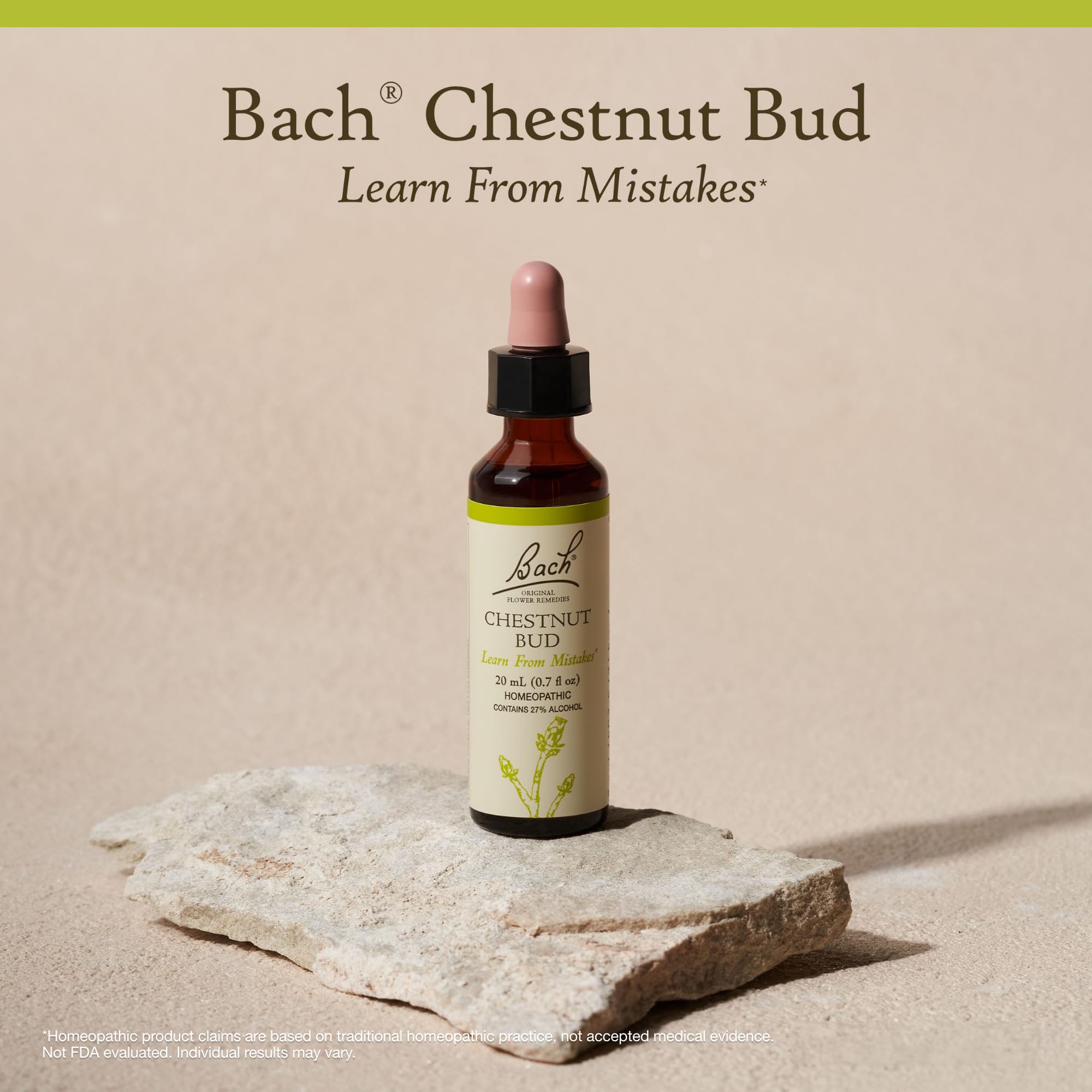 Bach Original Flower Remedies, Chestnut Bud - Learn from Mistakes - Natural Homeopathic Flower Essence for Emotional Balance - V