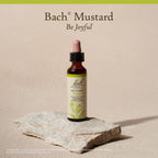 Bach Original Flower Remedies Mustard 20ml