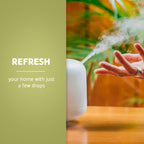 De La Cruz Eucalyptus Essential Oil Aromatherapy for Diffuser or Humidifier, 100% Pure Steam Distilled Eucalyptus Globulus 2 FL