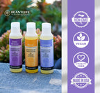 Plantlife Scent Free Massage Oil - Absorbs Deeply into The Skin and is Circulated Throughout, Providing Optimum Benefit to The M