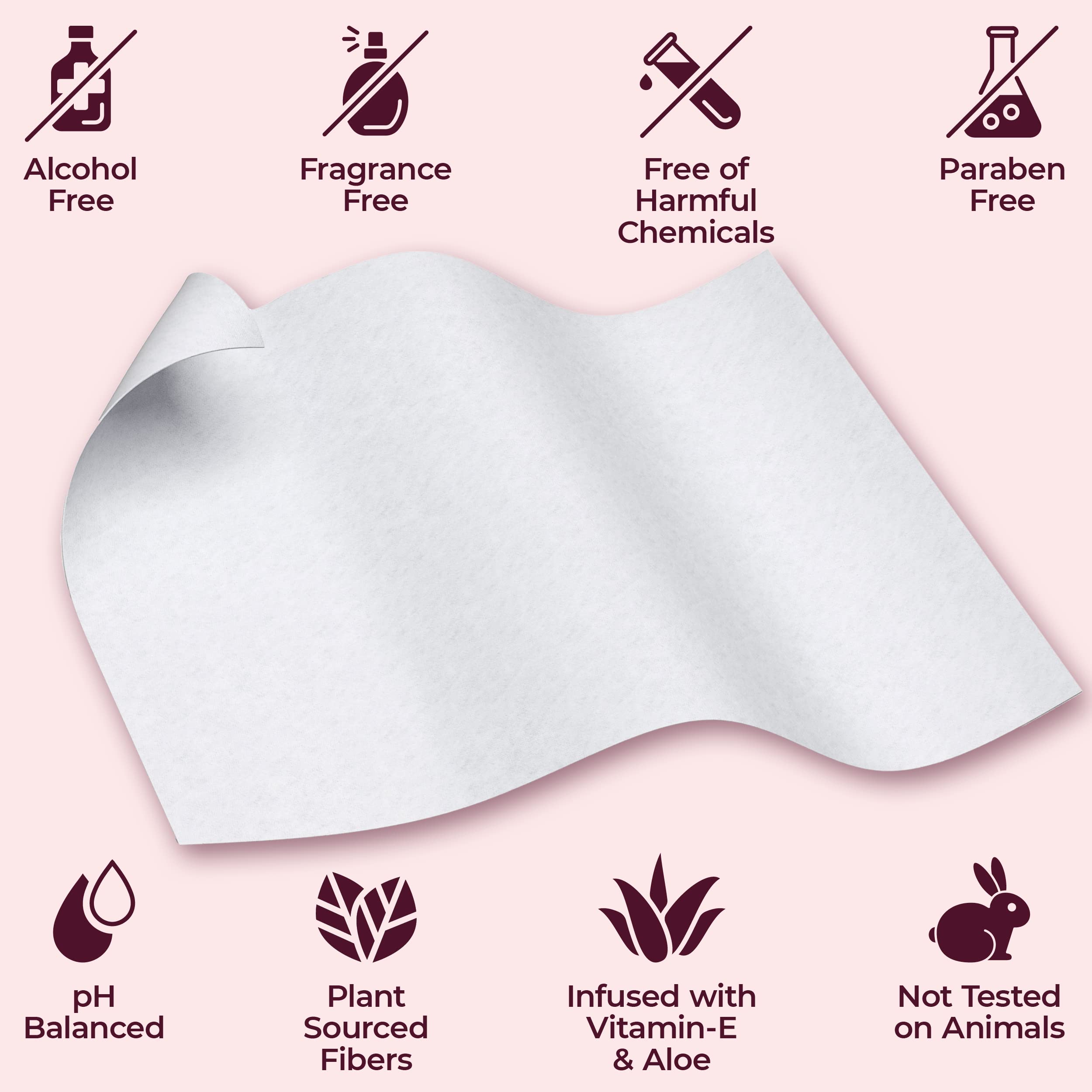 BOOTY WIPES Flushable Wipes Women - 80 Count, Pack of 4 Wet Wipes for Adults - pH Balanced Feminine Wipes with Aloe and Vitamin