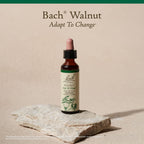 Bach Original Flower Remedies, Walnut - Adapt to Change - Natural Homeopathic Flower Essence for Emotional Balance - Vegan, Glut