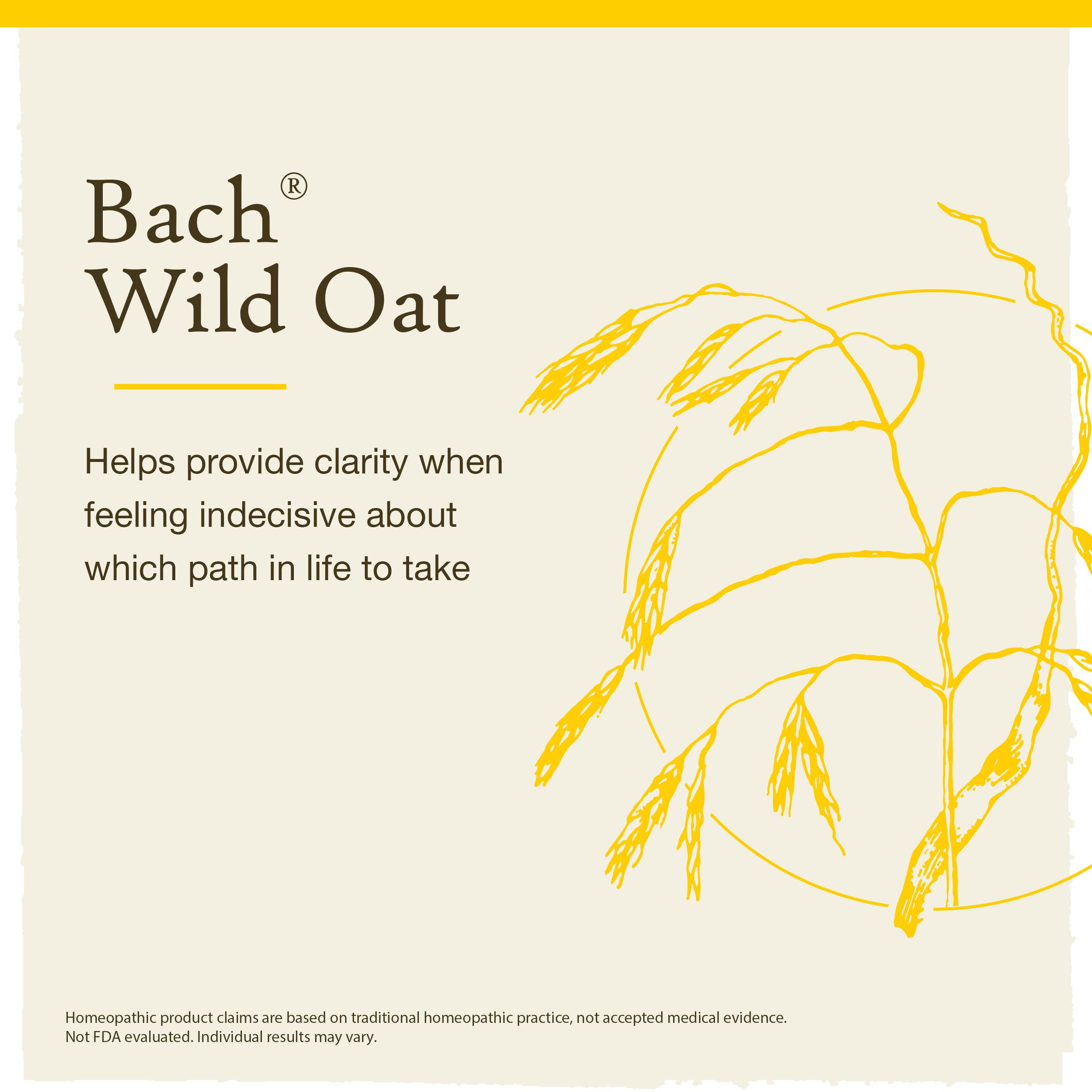Bach Original Flower Remedies, Wild Oat for Deciding Life's Path, Natural Homeopathic Flower Essence, Holistic Wellness and Stre