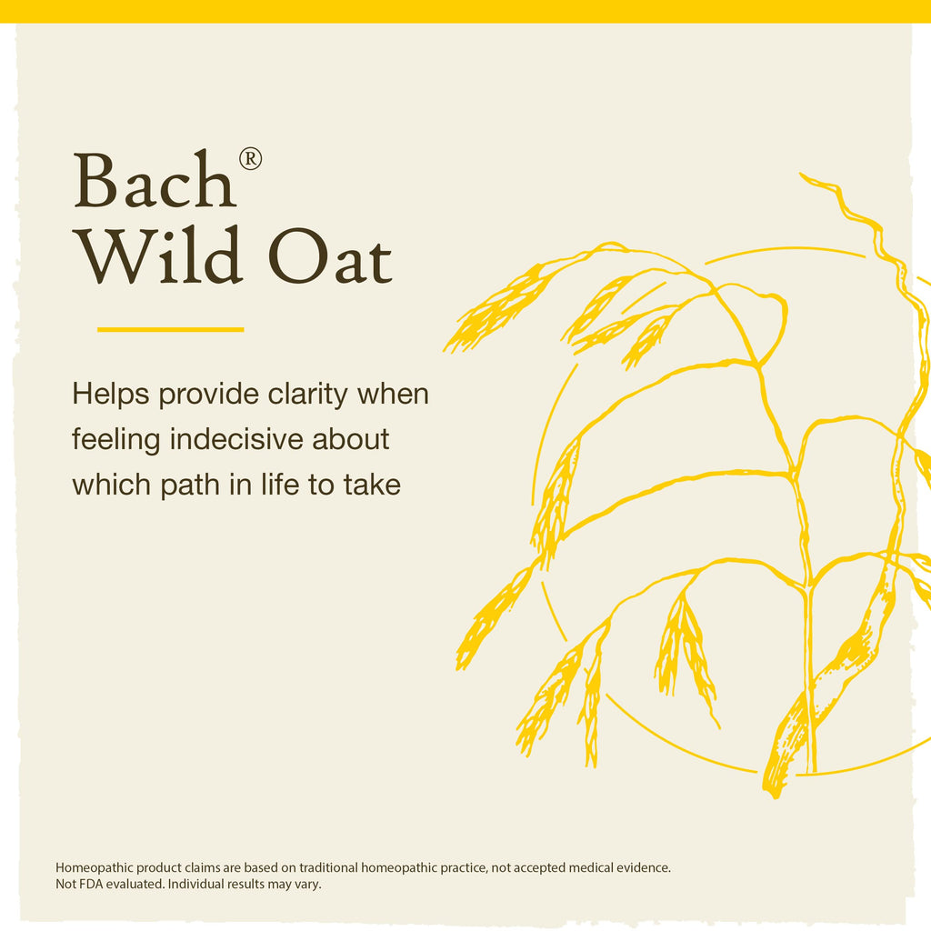 Bach Original Flower Remedies, Wild Oat for Deciding Life's Path, Natural Homeopathic Flower Essence, Holistic Wellness and Stre