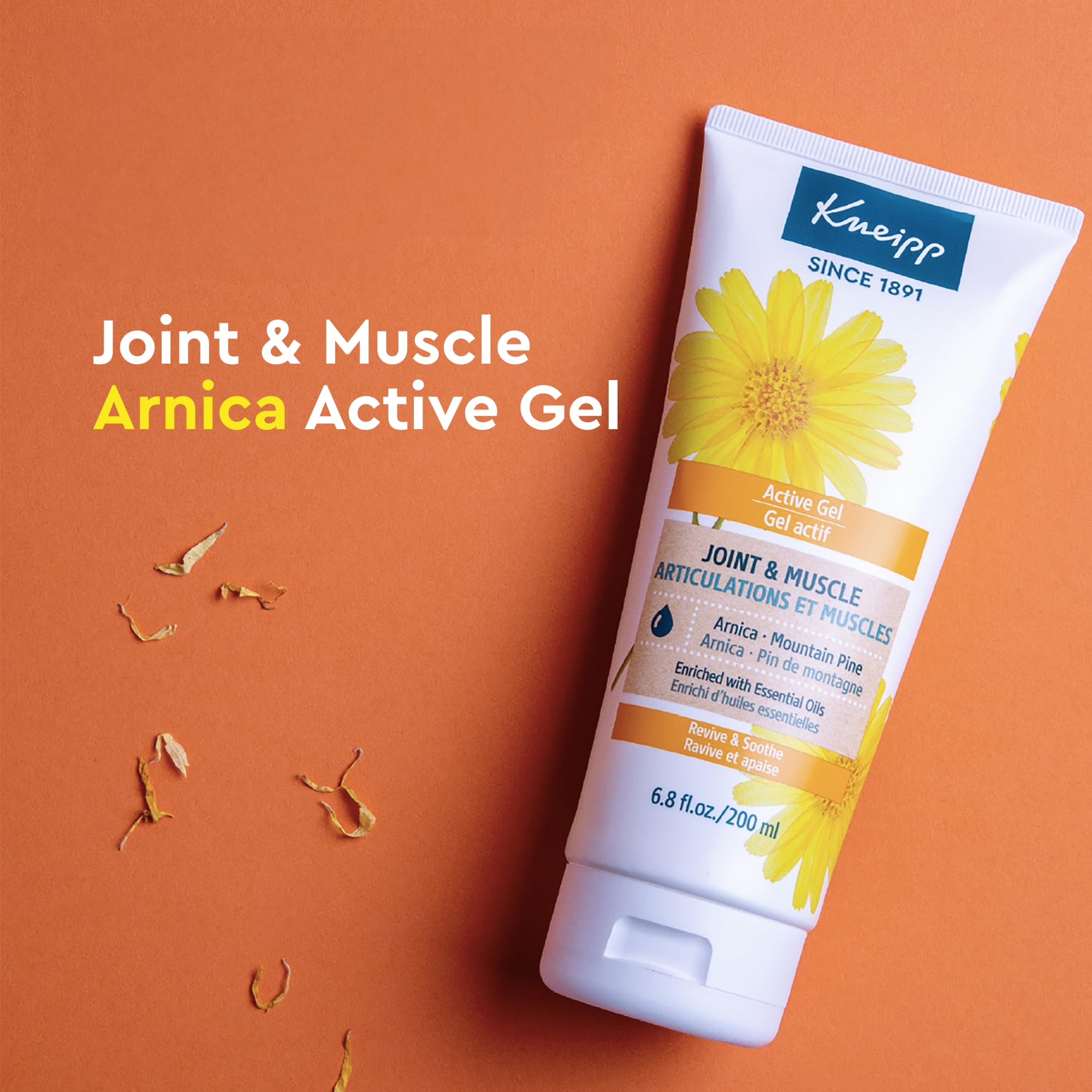 Kneipp Joint & Muscle Arnica & Mountain Pine Active Gel - 6.8 fl oz - Good for Achy Joints & Sore Muscles - Vegan