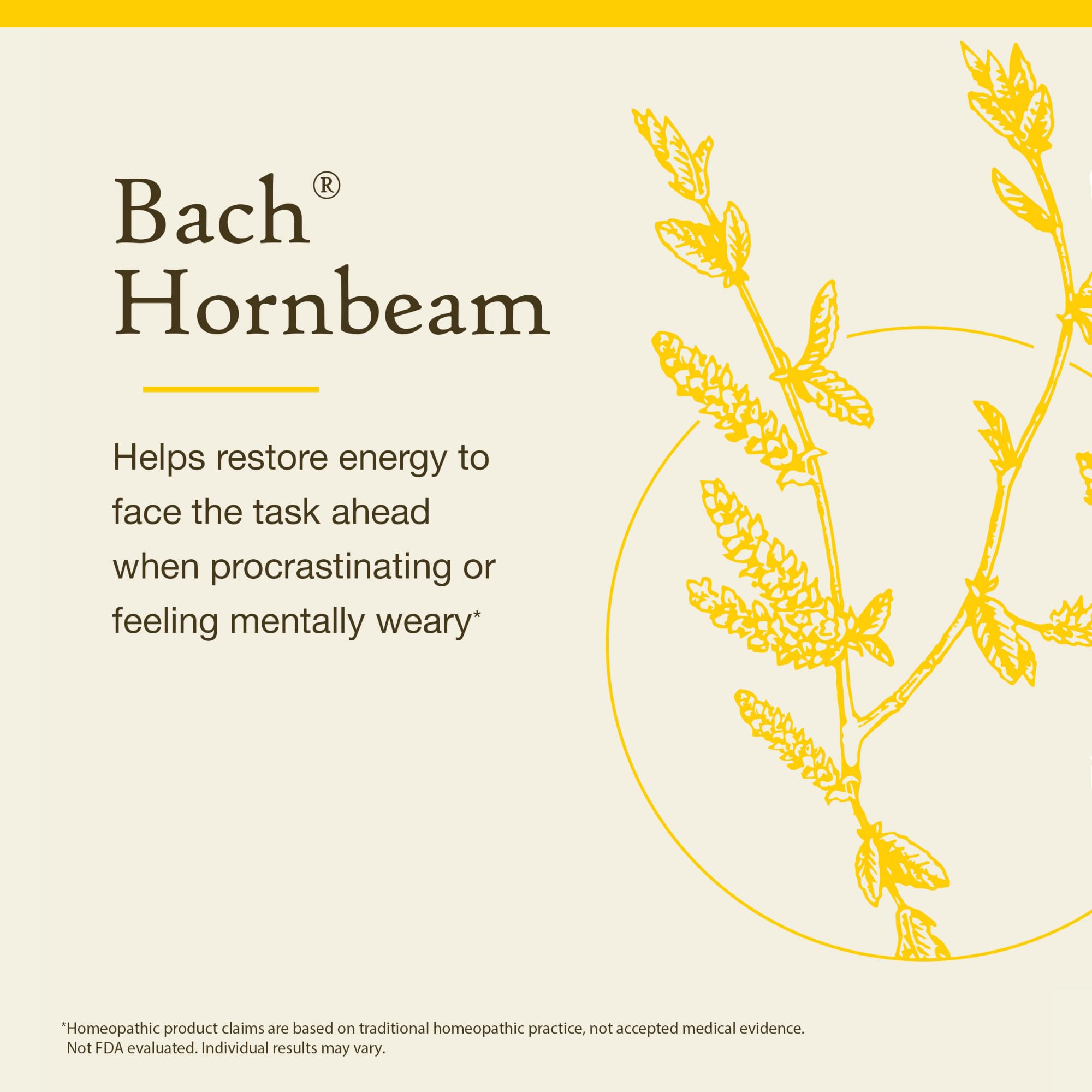 Bach Original Flower Remedies, Hornbeam - Procrastinate Less - Natural Homeopathic Flower Essence for Emotional Balance - Vegan,
