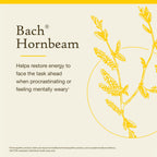 Bach Original Flower Remedies, Hornbeam - Procrastinate Less - Natural Homeopathic Flower Essence for Emotional Balance - Vegan,