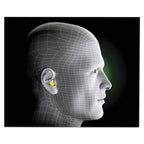 3M Ear Plugs, 30 Pairs/Box, E-A-R Classic 310-1060, Uncorded, Disposable, Foam, NRR 29, For Drilling, Grinding, Machining, Sawin