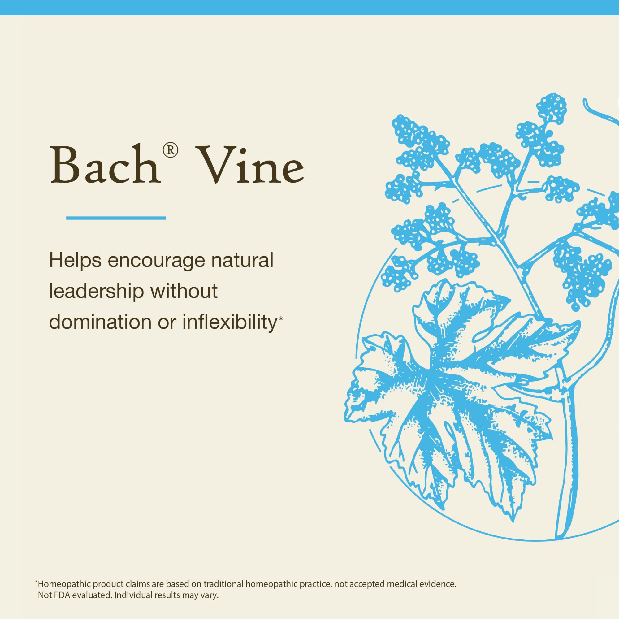 Bach Original Flower Remedies, Vine - Motivate Not Dominate - Natural Homeopathic Flower Essence for Emotional Balance - Vegan,