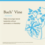 Bach Original Flower Remedies, Vine - Motivate Not Dominate - Natural Homeopathic Flower Essence for Emotional Balance - Vegan,