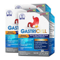 LABO Nutrition GASTRICELL - Target H. Pylori, Acid Reflux, Heartburn, Gastric Acid - Addresses Recurring Gastric Problems, Natur