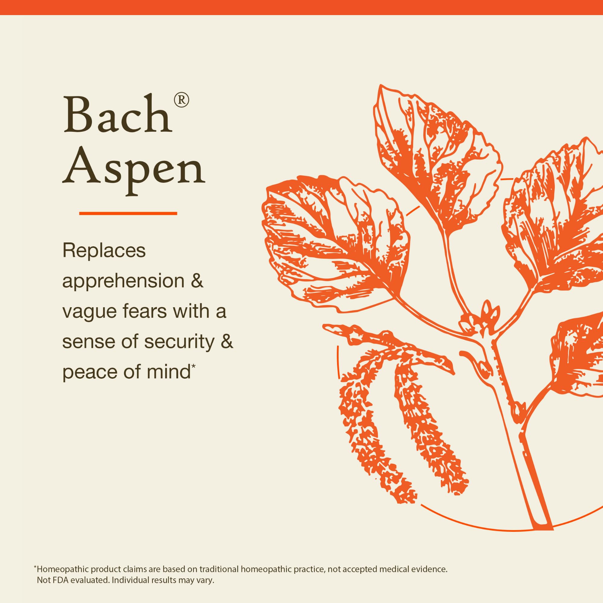 Bach Original Flower Remedies, Aspen (Non-Alcohol Formula) - Feel Secure - Natural Homeopathic Flower Essence for Emotional Bala