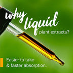 Herb Pharm Uva Ursi Liquid Extract for Urinary System Support - 4 Ounce