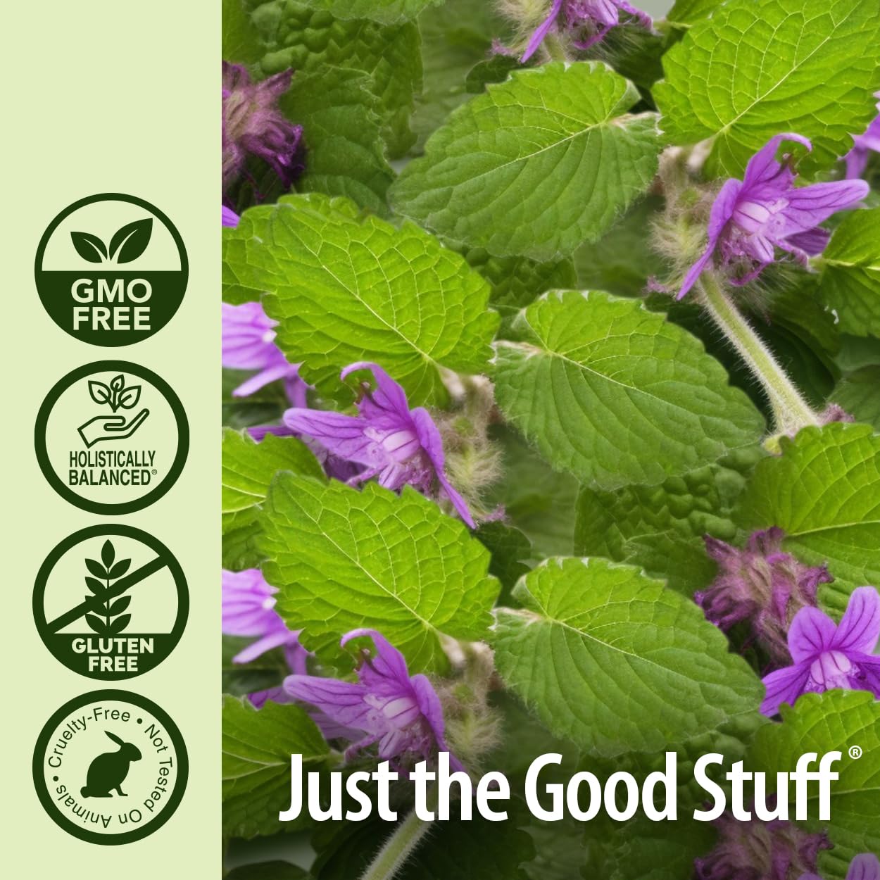Natures Answer USDA Organic Patchouli Essential Oil, 100% Pure | Natural Aromatherapy Oil for Diffuser/Humidifier, Steam Distill