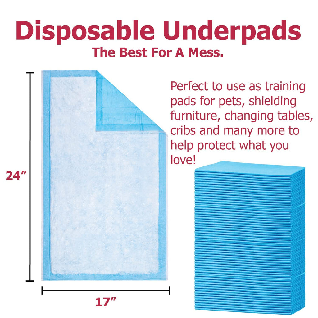 Dealmed (100 Count) Economy Absorbency Disposable Underpads 2-Ply Tissue Fill, 17 X 24    Blue, Perfect as Pet Pads Puppy Traini