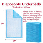 Dealmed (100 Count) Economy Absorbency Disposable Underpads 2-Ply Tissue Fill, 17 X 24    Blue, Perfect as Pet Pads Puppy Traini