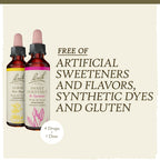 Bach Original Flower Remedies, Hope and Joy Kit, For Comfort and Optimism, Natural Homeopathic Flower Essence, Holistic Wellness