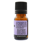 Plantlife Ylang Ylang Aromatherapy Essential Oil - Straight from The Plant 100% Pure Therapeutic Grade - No Additives or Fillers