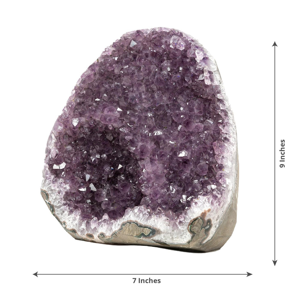 EMPORION GEMS 18.49 lb Extraordinary Natural Amethyst Geode - Unique Collectors Quality - 9 (H) x 7 (W) Inches Large Crystal Clu