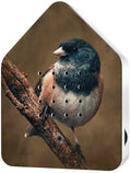 RELAXOUND Original Birdybox Sunbeam - Modern Nature Sound Box - Relaxing Cheerful Bird Concert - Motion Sensor with Sound - Rela