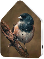 RELAXOUND Original Birdybox Sunbeam - Modern Nature Sound Box - Relaxing Cheerful Bird Concert - Motion Sensor with Sound - Rela