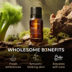 Gya Labs Fennel Essential Oil Diffusers - Fennel Seed Oil for Skin - Fennel Oil for Aromatherapy Skin Candles Making - Sweet Pep