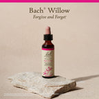 Bach Original Flower Remedies, Willow - Forgive & Forget - Natural Homeopathic Flower Essence for Emotional Balance - Vegan, Glu