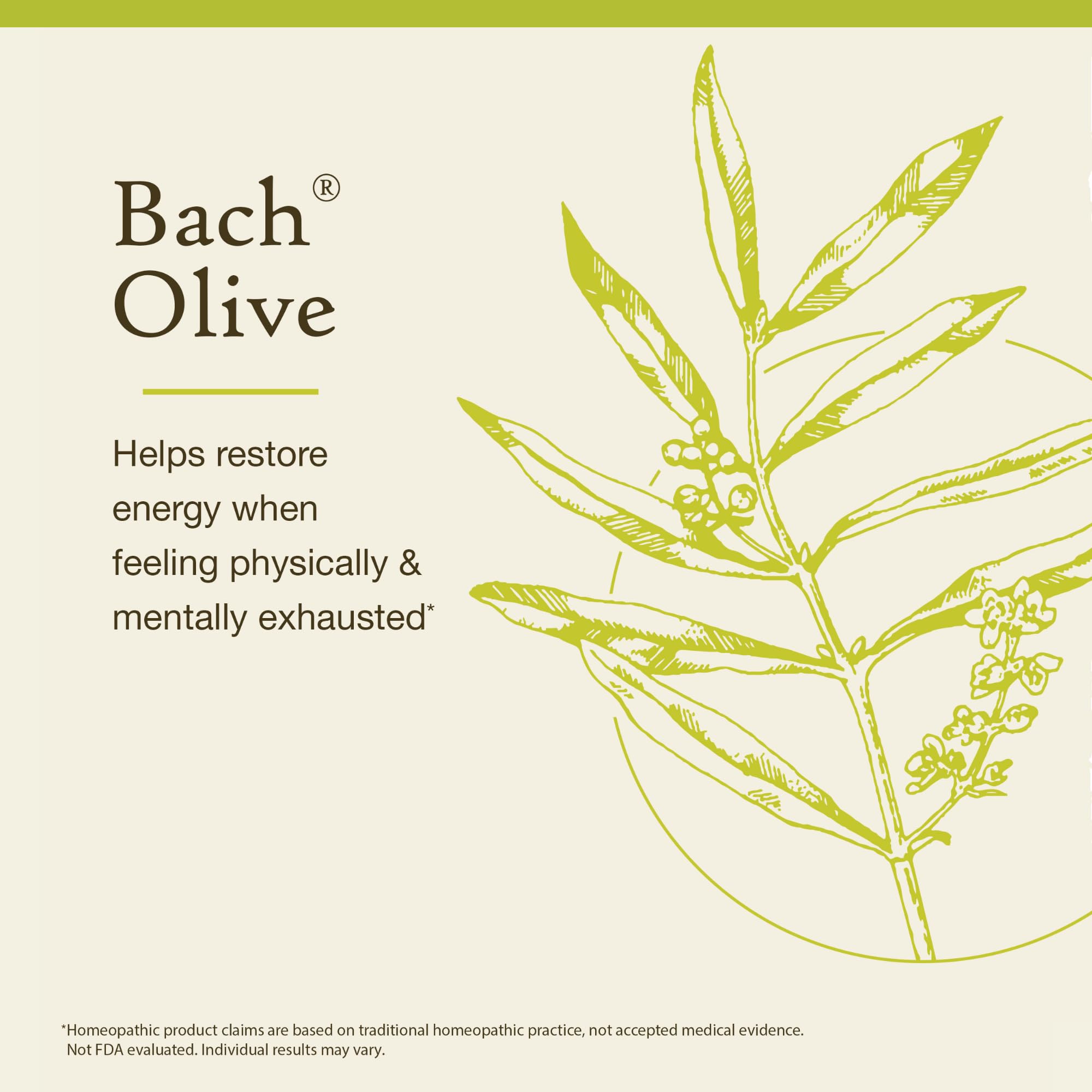 Bach Original Flower Remedies, Olive - Restore Energy - Natural Homeopathic Flower Essence for Emotional Balance - Vegan, Gluten