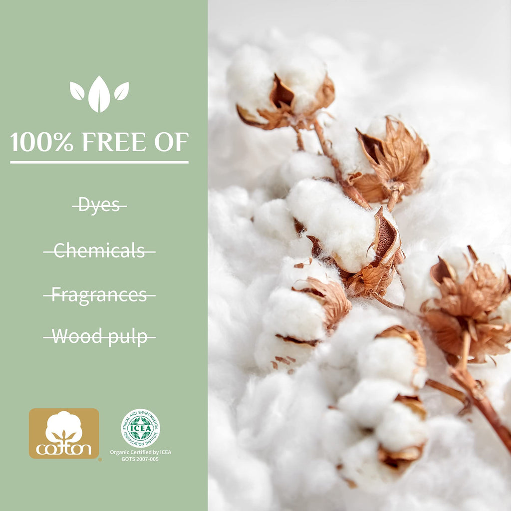 Organyc 100% Certified Organic Cotton Inside and Out Feminine Pads, Sanitary Napkin, Heavy Flow, 10 Count