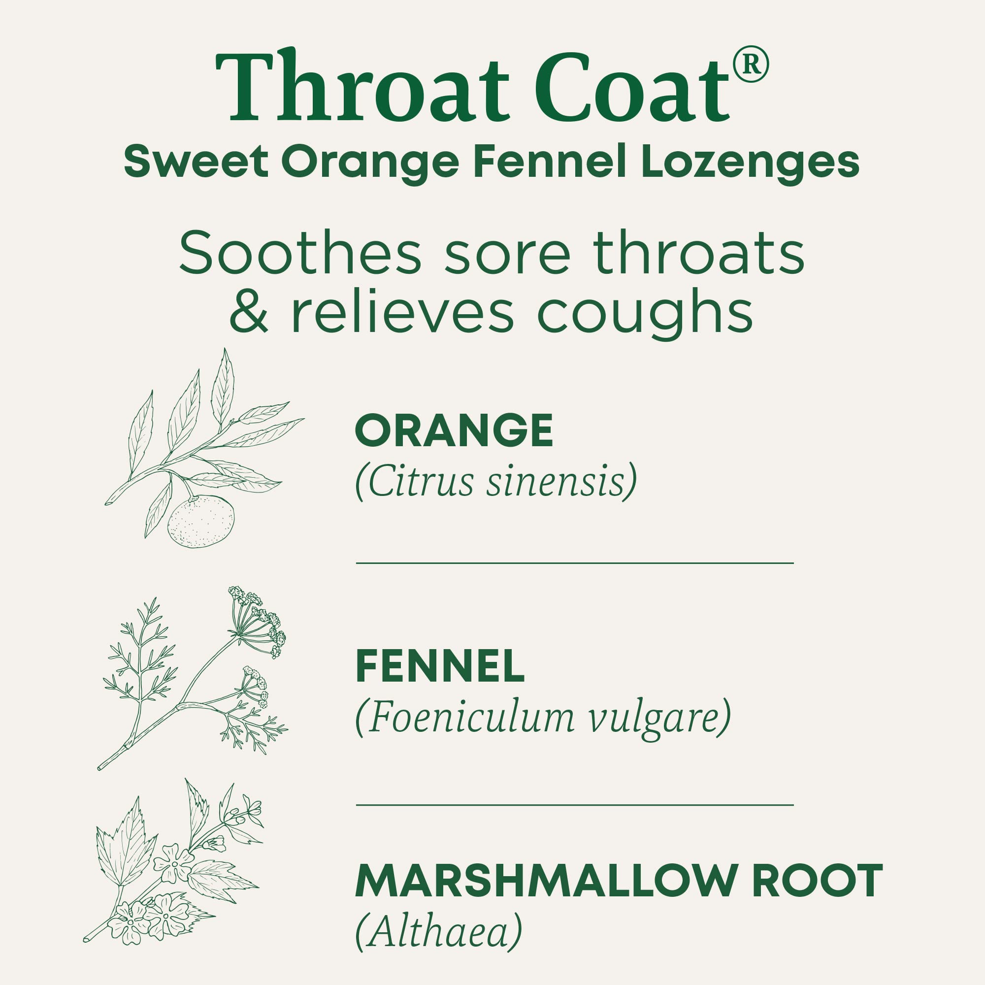 Traditional Medicinals Lozenges, Organic Throat Coat Sweet Orange Fennel, Soothes Sore Throats & Relievs Coughs, 16 Individually