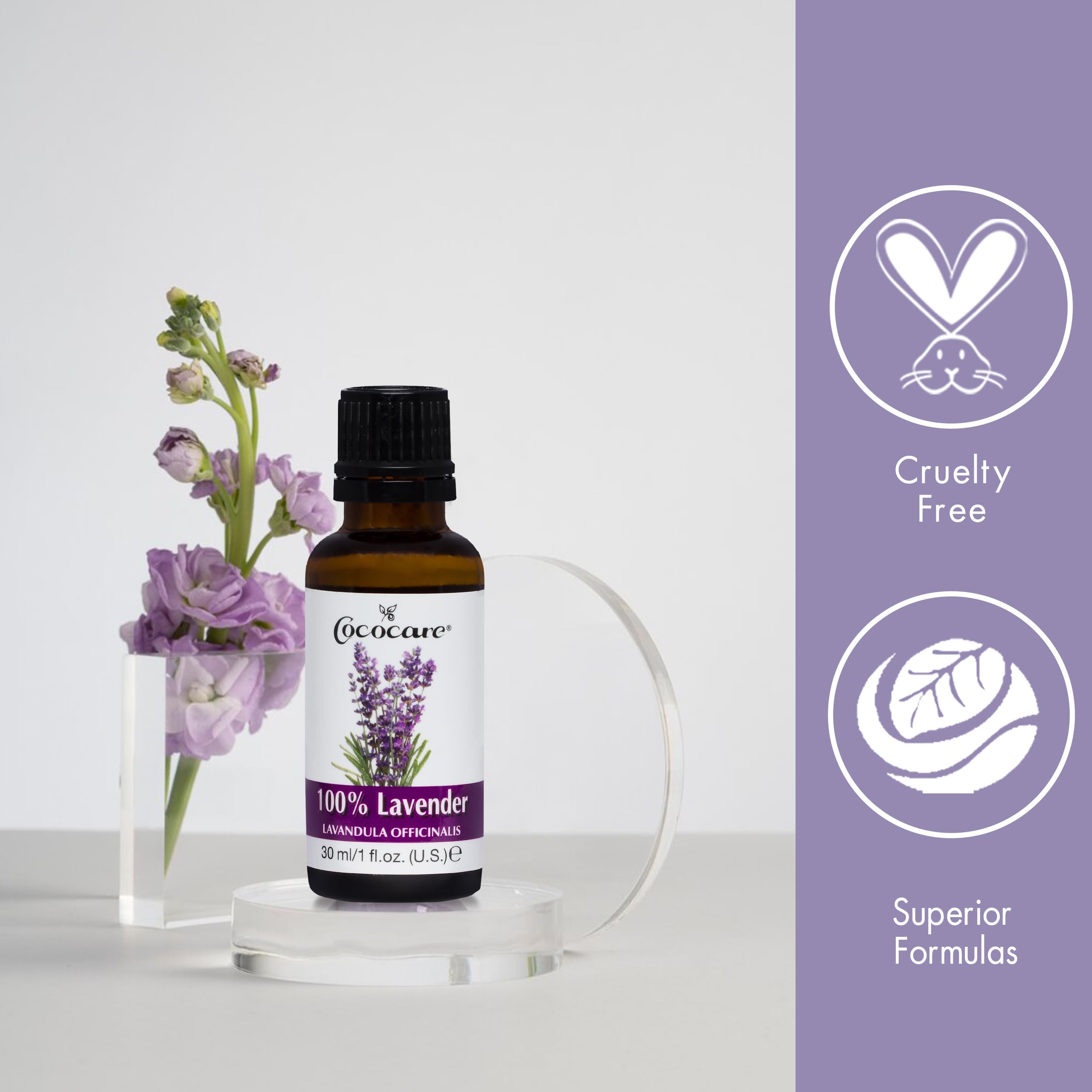 Cococare 100% Lavender Oil - Essential Oil from Lavender Flowers for Skin and Hair - 1 fl oz