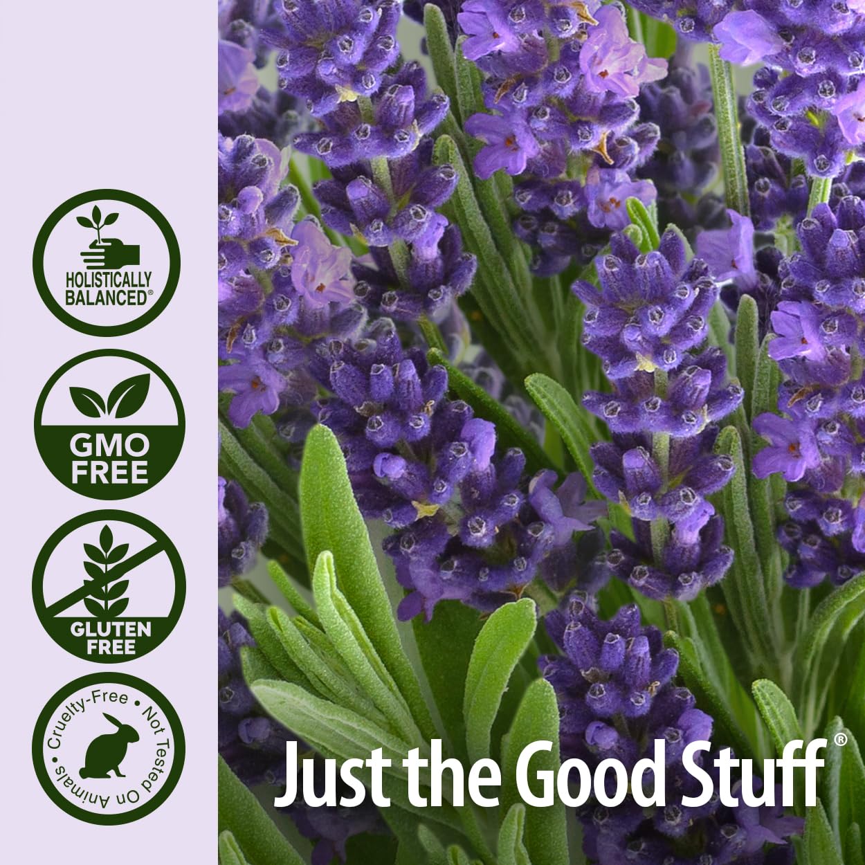 Natures Answer 100% Pure Organic Essential Oil, Lavender, 0.50 oz