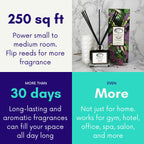 Air Jungles Lavender Scent Reed Diffuser Set with Sticks, Essential Incense Oil Air Freshener for Bathroom, Office, Gym, and Bed