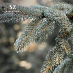 SZ Essentials Silver Fir Essential Oil - Delightful! 100% Pure and Natural Undiluted Oil, Therapeutic Grade & Vegan, Extracted f